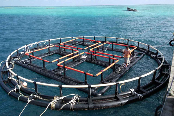 深海奇跡、水下牧場：探索深海養(yǎng)魚網(wǎng)箱在水產(chǎn)養(yǎng)殖中的新可能